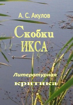 Книга "Скобки икса. Литературная критика" – Александр Акулов, 2024