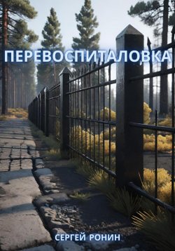 Книга "Перевоспиталовка" – Сергей Ронин, 2024