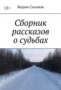 Сборник рассказов о судьбах (Вадим Сазонов)