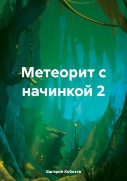 Книга "Метеорит с начинкой 2" – Валерий Кобозев, 2024