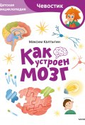 Книга "Как устроен мозг. Детская энциклопедия" (Максим Калтыгин, 2024)