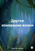 Другое измерение жизни (Александр Черевков, 2024)