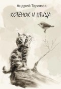 Котёнок и Птица (Андрей Торопов, 2024)