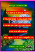 Сказка о том, как нерадивые повелители слаженного организма власть делили, да чуть всё не загубили (Игорь Шиповских, 2024)