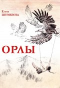 Орлы. Рассказы (Елена Шумкина, 2024)