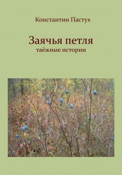 Книга "Заячья петля" – Константин Пастух, 2024