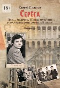 Серёга. Или… мальчик, юноша, мужчина в последние годы советской эпохи. Книга пятая (Сергей Пилатов)