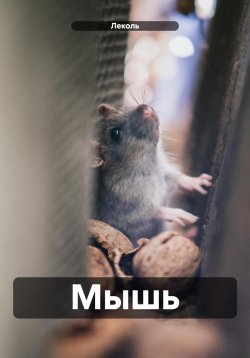 Книга "Мышь" – Леколь, 2024