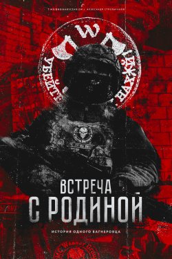 Книга "Встреча с родиной" {Военная проза XXI века} – Александр Стрельников