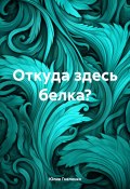 Откуда здесь белка? (Юлия Гнеленко, 2024)