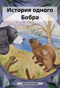 История одного Бобра (Ирина Сату, Ирина Кошелева, 2024)