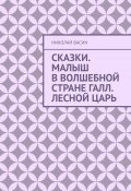 Сказки. Малыш в волшебной стране Галл. Лесной царь (Николай Васин)