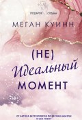 (Не)идеальный момент (Меган Куинн, 2023)