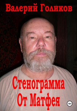 Книга "Стенограмма от Матфея" – Валерий Голиков, 2024