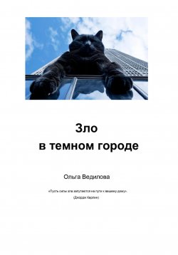 Книга "Зло в темном городе" – Ольга Ведилова, 2024