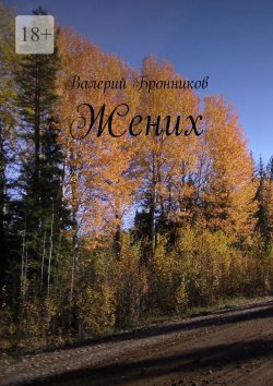 Книга "Жених" – Валерий Бронников