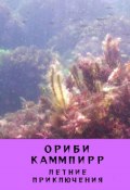 Летние приключения (Ориби Каммпирр, 2024)