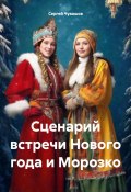 Сценарий встречи Нового года и Морозко (Сергей Чувашов, 2024)