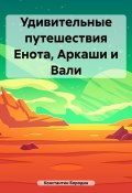 Удивительные путешествия Енота, Аркаши и Вали (Бородин Константин, 2024)