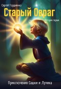 Книга "Старый Овраг. Приключения Сашки и Лучика. История первая" (Сергей Гордиенко, 2024)