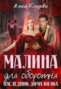 Малина для оборотня. Наследник Дома Волка (Алиса Князева, 2024)