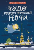 Чудо Рождественской ночи / Рассказы о Рождестве (Надежда Лухманова, Федор Достоевский, и ещё 6 авторов)