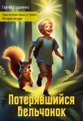 Книга "Потерявшийся Бельчонок. Приключения Сашки и Лучика. История вторая" (Сергей Гордиенко, 2024)