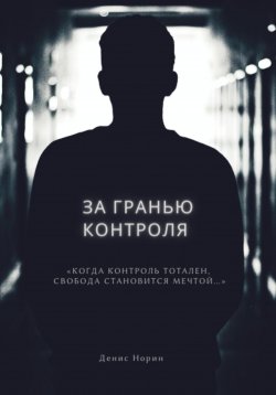 Книга "За гранью контроля" – Денис Норин, 2024