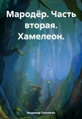 Мародёр. Часть вторая. Хамелеон. (Поселягин Владимир , 2024)