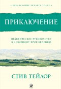 Приключение. Практическое руководство к духовному пробуждению (Тейлор Стив, 2024)