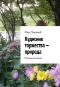 Кудесник торжества – природа. Пейзажная лирика (Олег Черный)