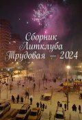 Сборник Литклуба Трудовая – 2024 (Владимир Броудо)