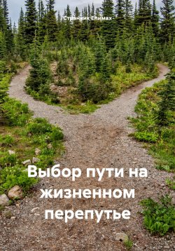 Книга "Выбор пути на жизненном перепутье" – Странник Епимах, 2024