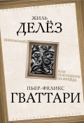 Шизоанализ, или Покушение на Фрейда (Жиль Делёз, Гваттари Феликс, 2024)