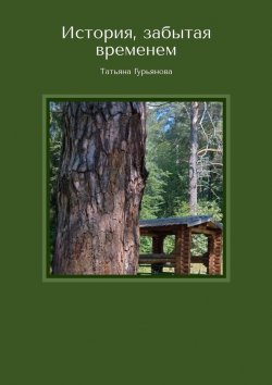 Книга "История, забытая временем" – Татьяна Гурьянова