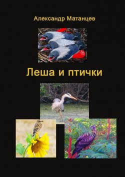 Книга "Леша и птички" – Александр Матанцев