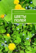 Цветы полей (Наталья Комлева)