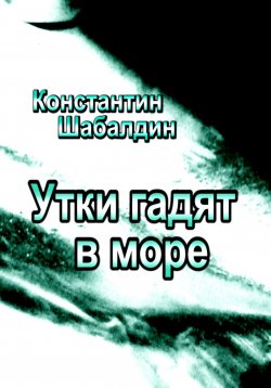 Книга "Утки гадят в море" – Константин Шабалдин, 2024