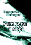 Утки гадят в море (Константин Шабалдин, 2024)