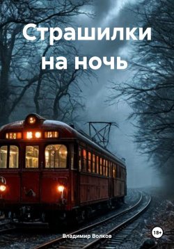 Книга "Страшилки на ночь" – Владимир Волков, 2024