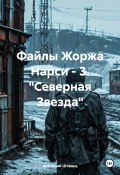 Файлы Жоржа Нарси 3. «Северная Звезда» (Анатолий Штольц, 2024)