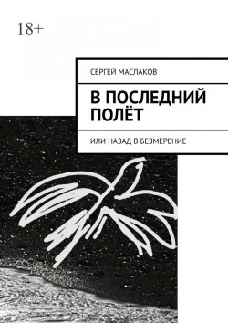 Книга "В последний полёт. Или Назад в Безмерение" – Сергей Маслаков