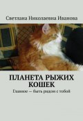 Планета рыжих кошек. Главное – быть рядом с тобой (Светлана Иванова)