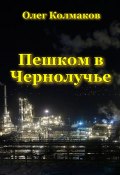 Пешком в Чернолучье (Олег Колмаков, 2024)