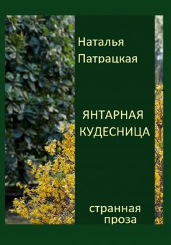 Книга "Янтарная кудесница" – Наталья Патрацкая, 2024