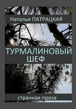 Книга "Турмалиновый шеф" – Наталья Патрацкая, 2024