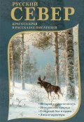 Русский Север. Красота края в рассказах писателей (Александр Грин, Михаил Пришвин, и ещё 4 автора, 2024)