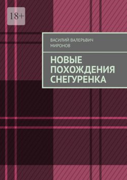 Книга "Новые похождения Снегуренка" – Василий Миронов