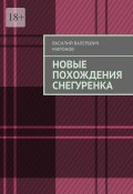 Новые похождения Снегуренка (Василий Миронов)