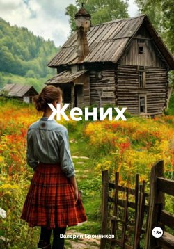 Книга "Жених" – Валерий Бронников, 2024